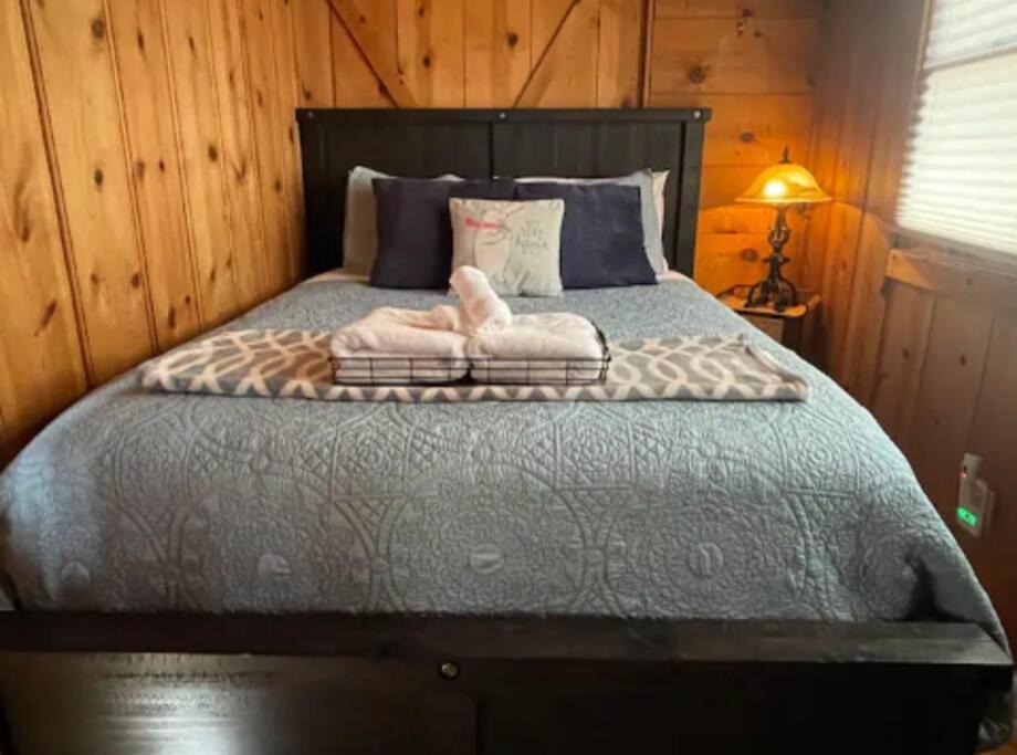 Cozy Bear Cabin With Spa Big Bear City Exterior photo