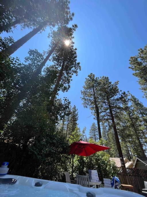 Cozy Bear Cabin With Spa Big Bear City Exterior photo